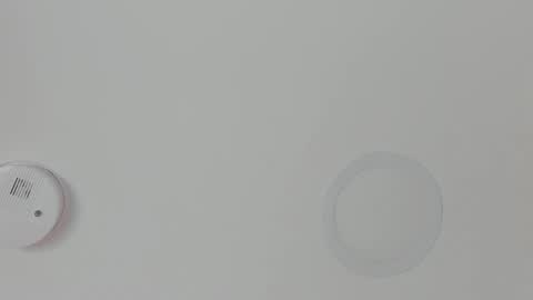 Maria Pettit online show from February 18, 2026, 11:17 am