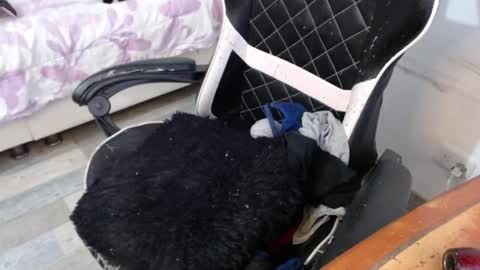 Marilyn  online show from February 26, 2025, 8:44 pm