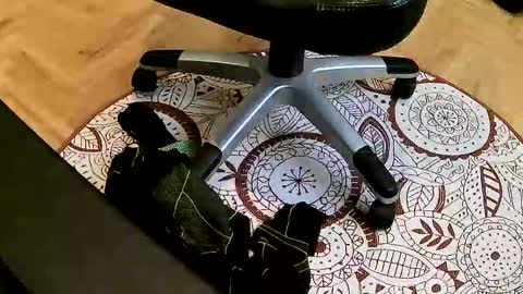 marcoxxl online show from March 22, 2026, 2:42 pm