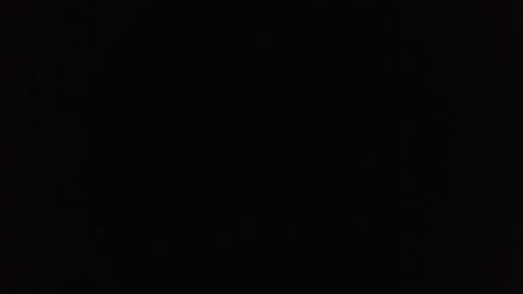 marsupilami_82_ online show from October 21, 2025, 4:30 pm