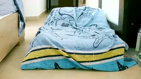 Snapshot of martinas_fantasies chatting on October 12, 2025, 10:58 am Play with me I obey I promise  online show from October 12, 2025, 10:58 am