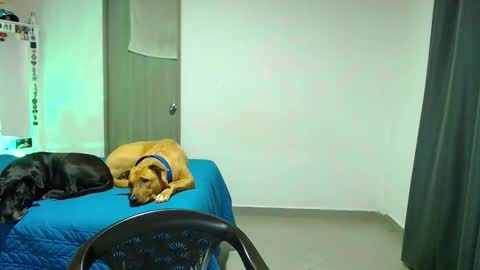 mary online show from October 31, 2025, 2:12 am