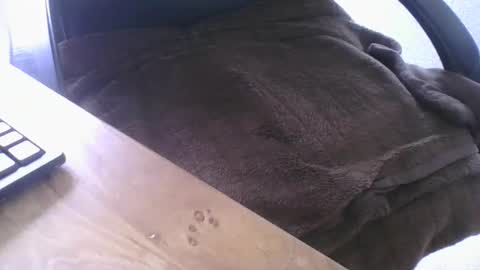 maskime59 online show from February 21, 2026, 1:45 pm