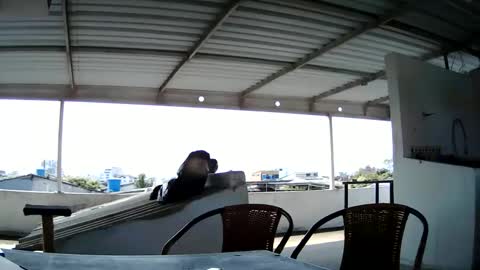 Master Cospi online show from February 14, 2025, 2:54 pm