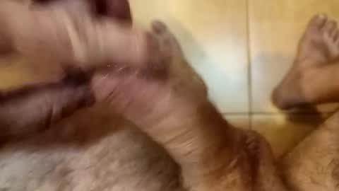 Chriss online show from October 16, 2025, 3:13 pm