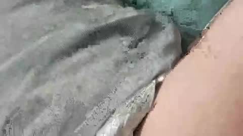 Snapshot of mathisdavid6757 chatting on November 22, 2025, 1:32 pm mathisdavid6757 online show from November 22, 2025, 1:32 pm