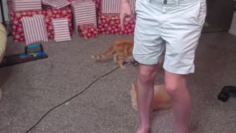 Matt Cash online show from December 26, 2024, 2:12 am