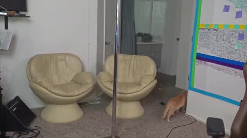 Matt Cash online show from January 10, 2025, 2:14 am