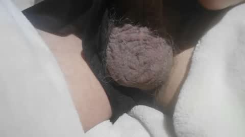 Hairy Bud online show from May 15, 2026, 6:04 pm
