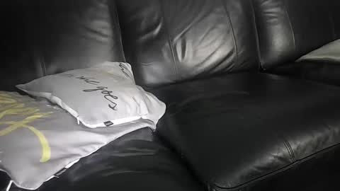 count du monet online show from June 1, 2026, 6:59 am