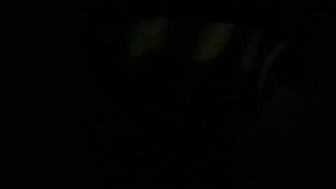 Snapshot of mau_lira chatting on January 13, 2026, 11:04 am Lira online show from January 13, 2026, 11:04 am