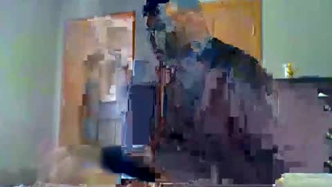 mauricescott online show from April 11, 2026, 8:13 pm