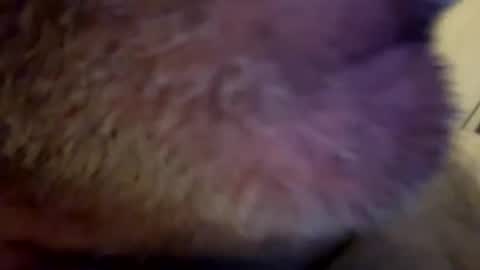 maverick7000 online show from February 23, 2025, 8:17 am