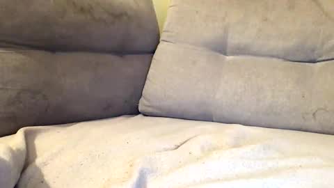 maximemax14 online show from February 25, 2026, 8:18 pm