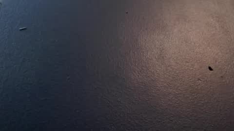 Max and Pam Voyeur Cam online show from January 29, 2025, 5:09 am