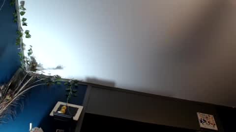 Max and Pam Voyeur Cam online show from February 16, 2025, 7:48 am