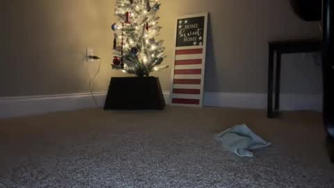 Snapshot of maxx276828 chatting on November 22, 2025, 4:44 am maxx276828 online show from November 22, 2025, 4:44 am