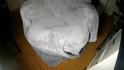 Maxx Ellis online show from December 31, 2024, 3:01 am