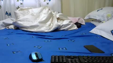 maya online show from December 31, 2024, 3:45 am