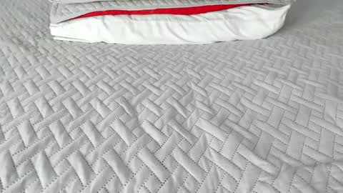 Maybelline69 online show from December 18, 2025, 6:03 pm