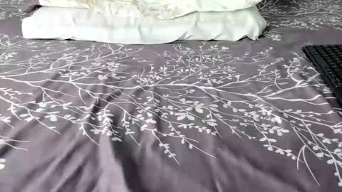 Snapshot of maybelline_666 chatting on February 6, 2026, 8:45 pm Maybelline69 online show from February 6, 2026, 8:45 pm