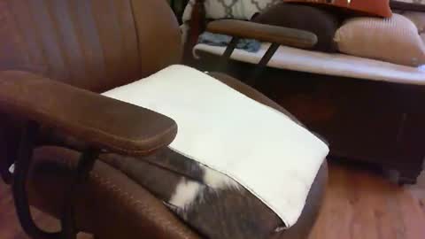 Snapshot of medfirebear chatting on November 28, 2025, 5:59 pm medfirebear online show from November 28, 2025, 5:59 pm