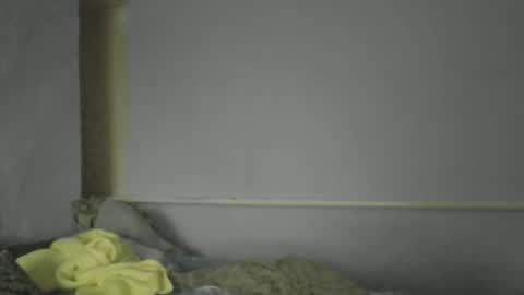 Oltereodora-lima online show from December 30, 2024, 1:14 pm