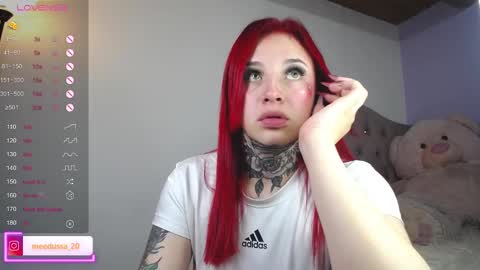 Snapshot of medusa_20 chatting on December 28, 2024, 8:48 am Johana online show from December 28, 2024, 8:48 am