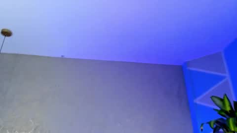 Medusa Ts online show from November 23, 2025, 4:56 am