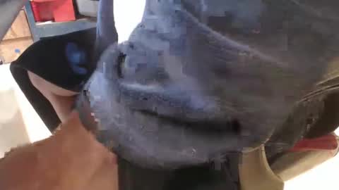 Snapshot of mee9090e900 chatting on September 19, 2025, 11:11 am mee9090e900 online show from September 19, 2025, 11:11 am