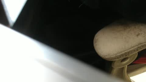 Snapshot of mee9090e900 chatting on September 21, 2025, 1:02 pm mee9090e900 online show from September 21, 2025, 1:02 pm