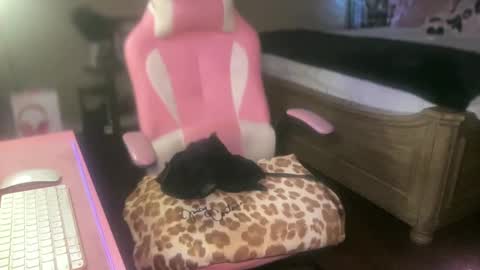 Snapshot of meetsouthernpeach chatting on September 27, 2025, 4:17 am Southern Peach online show from September 27, 2025, 4:17 am