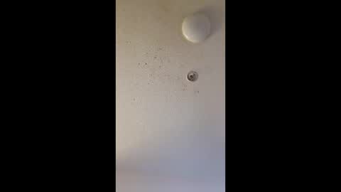 mel_hart_jr online show from March 25, 2026, 7:47 am