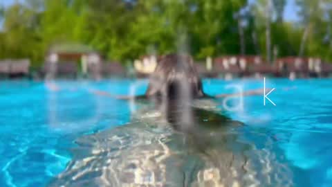 Adel online show from December 12, 2024, 3:27 pm