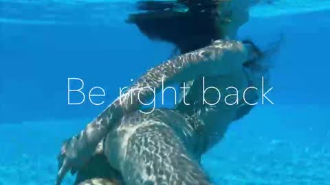 Adel online show from September 15, 2025, 2:50 pm