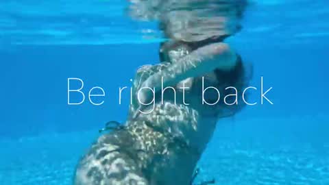 Adel online show from November 6, 2025, 2:40 pm