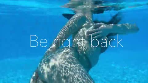 Adel online show from November 14, 2025, 4:17 pm