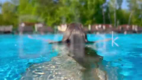 Adel online show from April 20, 2026, 6:53 pm