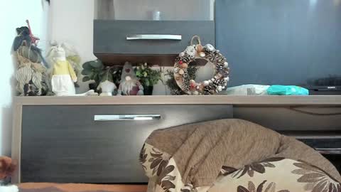 MellyMell  online show from January 8, 2025, 10:58 pm