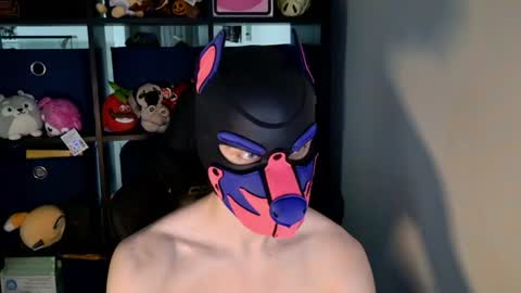 Snapshot of mellpup chatting on June 20, 2026, 3:15 pm MellPUP online show from June 20, 2026, 3:15 pm