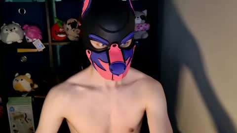 Snapshot of mellpup chatting on June 24, 2026, 12:15 pm MellPUP online show from June 24, 2026, 12:15 pm