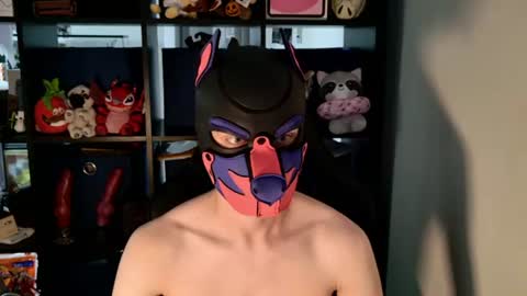 Snapshot of mellpup chatting on July 14, 2026, 6:13 pm MellPUP online show from July 14, 2026, 6:13 pm