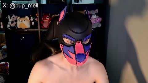 Snapshot of mellpup chatting on August 4, 2026, 3:47 pm MellPUP online show from August 4, 2026, 3:47 pm