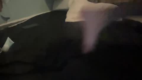 melt13 online show from October 13, 2025, 12:05 pm