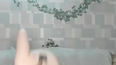 meowcr online show from February 2, 2026, 3:00 pm