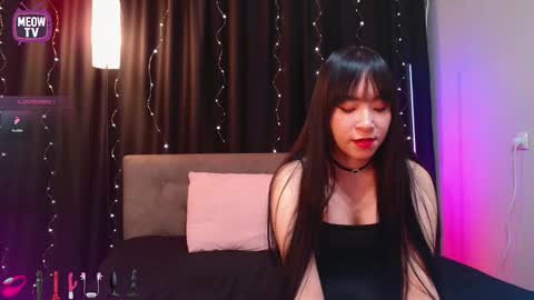 meowkami online show from February 16, 2026, 12:51 am