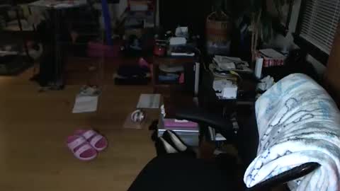 Tsukiko online show from December 24, 2024, 1:28 pm