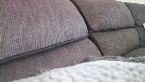 mexianthehawk online show from March 30, 2026, 4:35 am