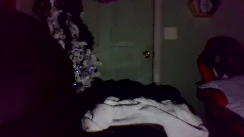 mezzy69 online show from October 1, 2025, 8:31 am