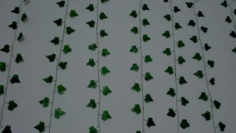 MIA online show from December 20, 2025, 9:33 pm